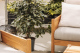 Loungesofa Wood